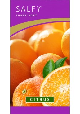 Носовые платочки Salfy Citrus двухслойные 10-ти штучные, 1 упаковка